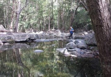 Cedar Creek