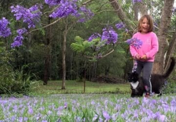 Nature Play ideas
