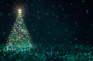 Christmas lights tours in Brisbane Christmas tree.